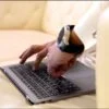 Arabic man working on laptop and mobile