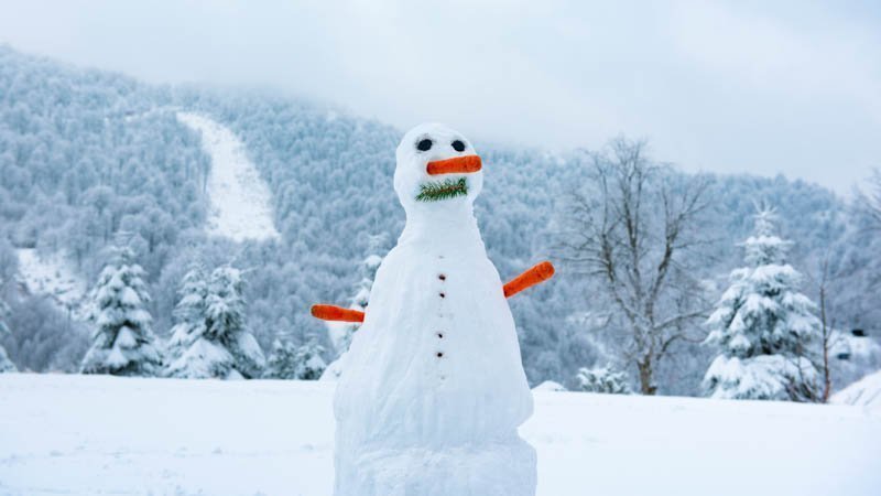 Snow Man in Winter, Snow Man with Carrot Nose and Forest with Mountains